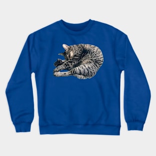 Sleeping Tabby Crewneck Sweatshirt